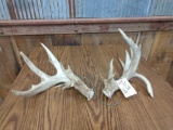 Main Frame 4x4 Whitetail Sheds