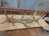 Set of 6x6 Elk Sheds 14.4 lbs