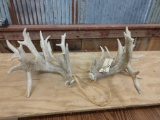 Main Frame 5x5 Whitetail Shed