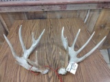 Main Frame 6x6 Whitetail Sheds