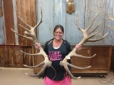 Mid 300 class Red Stag sheds nice