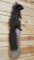 Full Body Mount Black Squirrel On Driftwood Hanger