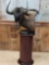 African black wildebeest pedestal mount