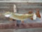 40 inch northern pike real skin fish mount