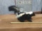 Full body mount skunk