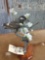 Full body mount white cheeked starling
