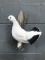 NEW mount Winter Rock Ptarmigan Pirched On Branch