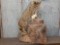 Full body mount bobcat