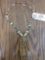 Native American Reservation Made Black Bear Paw Necklace