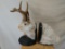 Marble Jackalope bookends