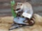 Full body mount juvenile raccoon on Driftwood base
