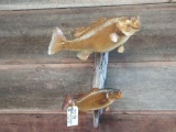 2 smallmouth bass real skin fish mounts