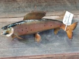 19 in grayling real skin fish mount