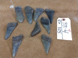 9 fossilized megalodon shark teeth