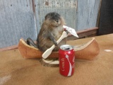 Full body mount muskrat in a birch bark canoe