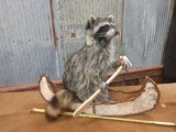 Full body mount raccoon in birch bark canoe