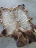 Tanned elk hide