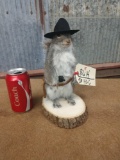 Sheriff squirrel full body mount