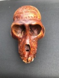 Crab Eating Macaque Monkey carved skull