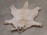 Rare Blonde Color Phase Raccoon Rug