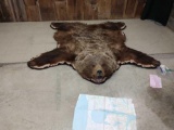 BEAUTIFUL Alaskan Kodiak Bear Rug