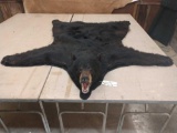 Nice spring black bear rug