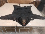 Black bear rug