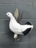 NEW mount Winter Rock Ptarmigan Pirched On Branch