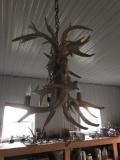 Great Antler Chandelier