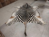 Large tanned zebra skin