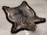 Javelina or Peccary Rug