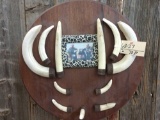 Hanging hippo Tusk display