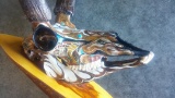 Beautiful hand painted pronghorn antelope skull