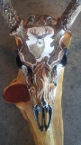Professionally hand painted 5x5 mule deer skull