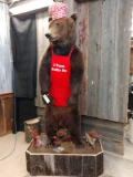 Full Body Mount Alaskan Brown Bear In Chef Costume