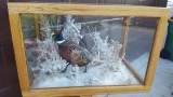 Beautiful snow scene rooster pheasant in a glass case. Very Nice!