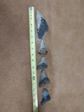 5 fossilized megalodon shark teeth