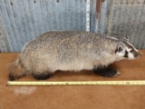 Full body mount badger