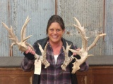 Mid 200 Class Whitetail Sheds