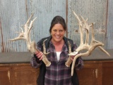 270 Class Whitetail Sheds