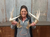 5x5 Whitetail Sheds