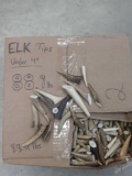 88.9 Pounds Of Elk Antler Tips