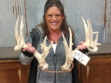 Gnarly Main Frame 5x5 Whitetail Sheds