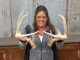 6x4 Whitetail Sheds