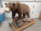 Big Cinnamon Color Phase Black Bear Full Body taxidermy Mount