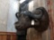 African Cape Buffalo Shoulder Mount