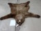 Alaskan Grizzly Bear Rug