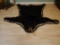 Black Bear Rug Taxidermy