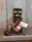 Full Body Mount Raccoon Eating Peanut Butter