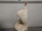 Cool White Color Phase Pheasant Crowing